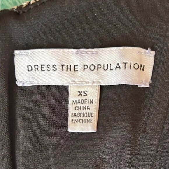 Dress the Population Black Floral Embroidered Mini Dress size XS - Picture 11 of 11